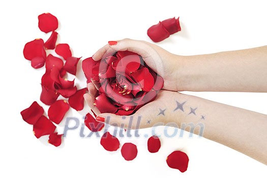 woman hand holding rose petals in hand and representing skin and hand care concept woman hand holding rose petals in hand and representing skin and hand care concept
