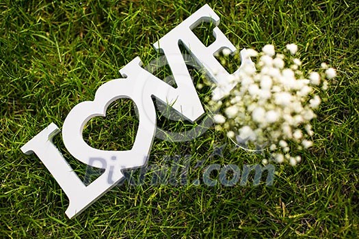 Love is in the air and on the green - Word LOVE lying in lush, well cut grass - Wedding day concept