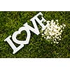 Love is in the air and on the green - Word LOVE lying in lush, well cut grass - Wedding day concept