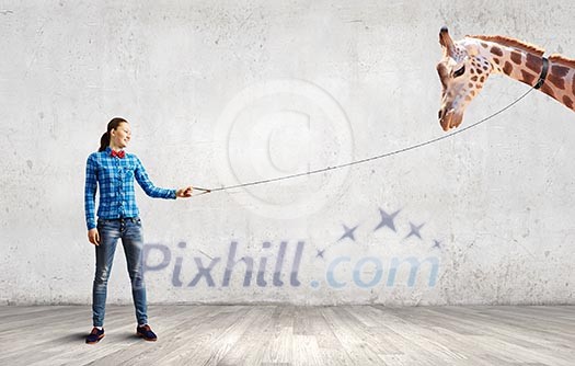 Young woman in casual holding giraffe on lead Young woman in casual holding giraffe on lead