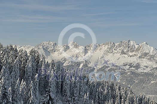 winter nature landscape  mountaint  with tree and fresh snow