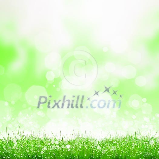 Background bokeh image. Summer and vacation concept Background bokeh image. Summer and vacation concept