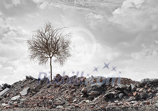 Conceptual image of dry tree standing on ruins