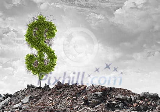 Conceptual image of green dollar sign growing on ruins