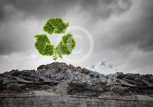 Conceptual image with recycle green sign growing on ruins