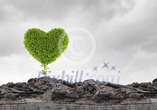 Conceptual image with green heart growing on ruins