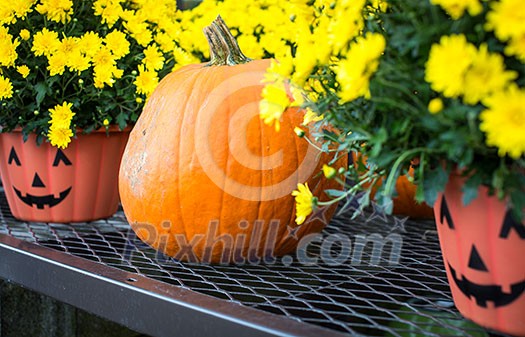 Halloween pumpkin and pots Halloween pumpkin and pots