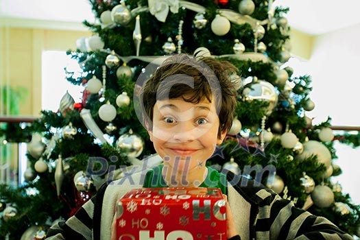 Smiling boy with giftbox looking at camera out of decorated firtree