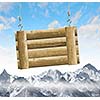 Image of wooden hanging blank banner. Place for text