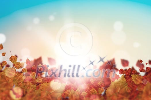 Background image with autumn leaves. Place for text