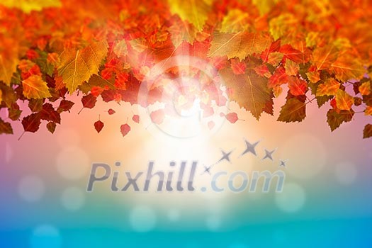 Background image with autumn leaves. Place for text Background image with autumn leaves. Place for text