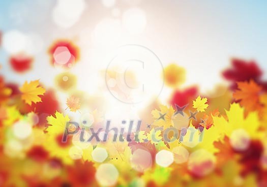Background image with autumn leaves. Place for text Background image with autumn leaves. Place for text