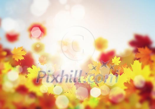 Background image with autumn leaves. Place for text