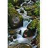 mountain forest landscapecreek with fresh water