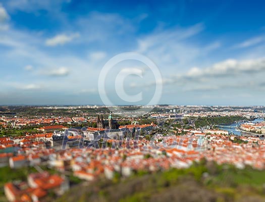 Aerial view of Hradchany part of Prague - the Saint Vitus St. Vitt's Cathedral and Prague Castle, view from Petrin Observation Tower with tilt shift toy effect shallow depth of field. Prague, Czech Republic