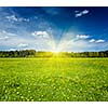 Summer meadow on sunset with blu sky and sun rays