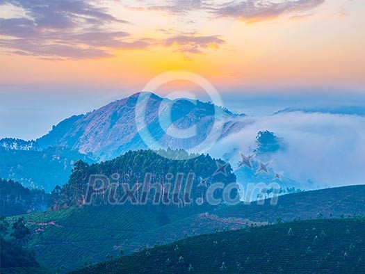 Kerala India travel background - sunrise and tea plantations in Munnar, Kerala, India