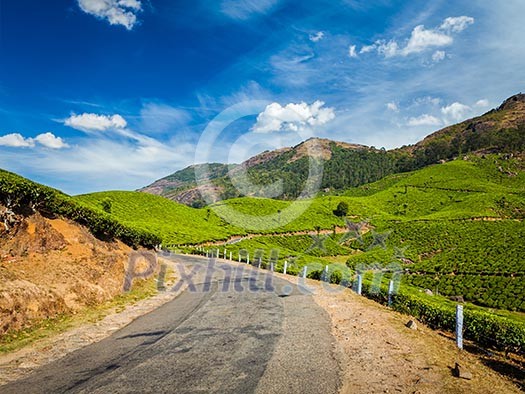 Kerala India travel background - road in green tea plantations in mountains in Munnar, Kerala, India