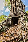 Sambor Prei Kuk Pre-Angkorian temple complex ruins. Kampong Thom, Cambodia