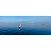 Panorama of traditional Burmese fisherman balancing with fishing net at Inle lake, Myanmar famous for their distinctive one legged rowing style