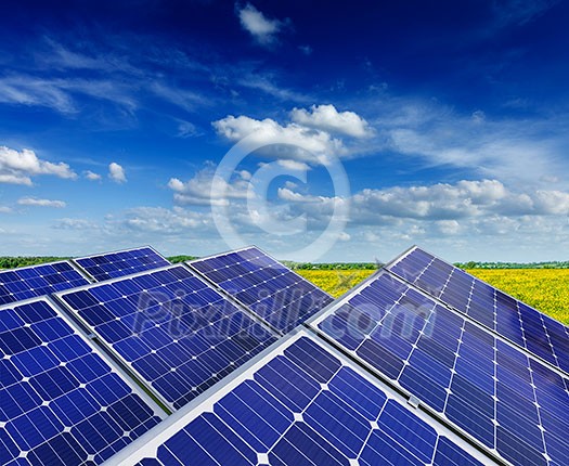 Solar power generation technology, green alternative energy and environment protection ecology business concept background -  solar battery panels in summer spring blooming rural meadow field with blue sky