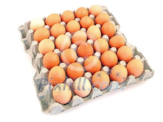 pack of eggs on white background