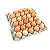 pack of eggs on white background