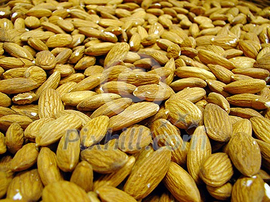 nuts background nuts background