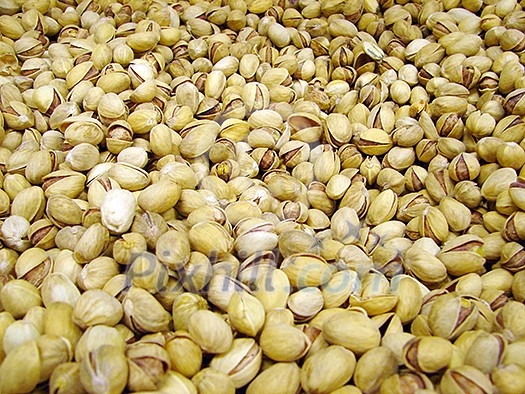 nuts background nuts background