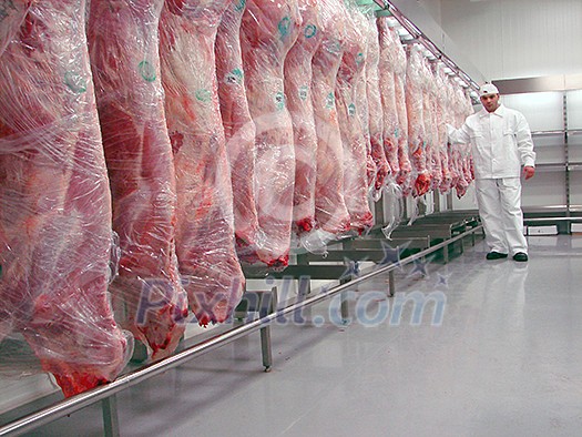 butcher butcher