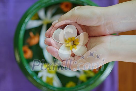 spa and beauty female hand and flower in water spa and beauty female hand and flower in water