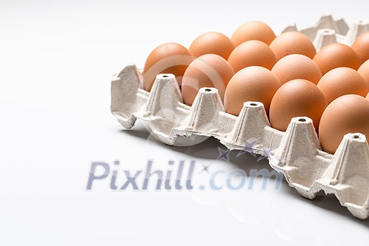 Eggs on white background