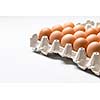 Eggs on white background