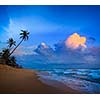 Sunset on tropical beach. Sri Lanka
