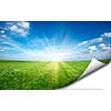 Ssun and green fresh grass field blue sky  with folded corner copyspace