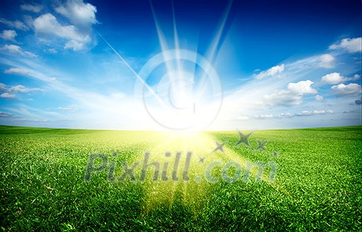 Sunset sun and field of green fresh grass under blue sky Sunset sun and field of green fresh grass under blue sky