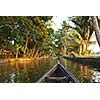 Travelling in canoe on Kerala backwaters. Kerala, India
