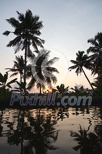 Sunset on Kerala backwaters. Kerala, India Sunset on Kerala backwaters. Kerala, India
