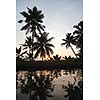 Sunset on Kerala backwaters. Kerala, India