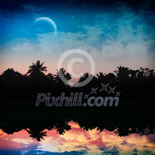 Magic tropical night Magic tropical night