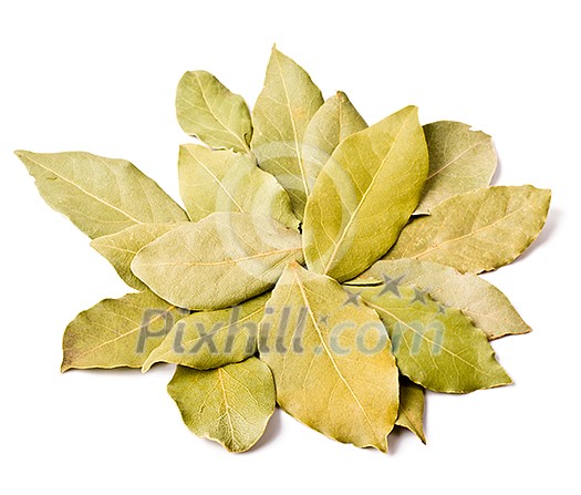 Pile of bay leaves isolated on white Pile of bay leaves isolated on white