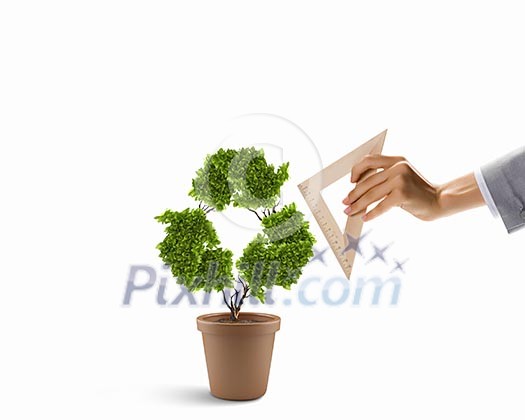 Plant in shape of recycle symbol and human hand holding ruler Plant in shape of recycle symbol and human hand holding ruler