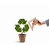 Plant in shape of recycle symbol and human hand holding ruler