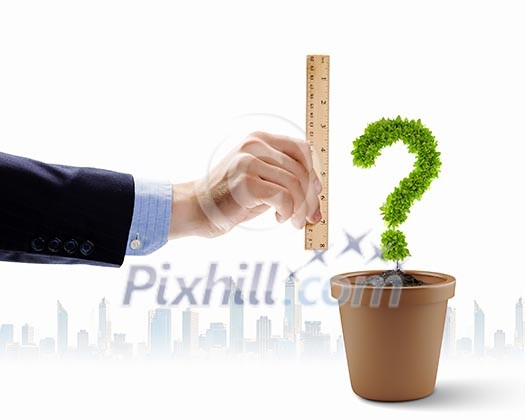 Human hand holding ruler and measuring pot plant Human hand holding ruler and measuring pot plant