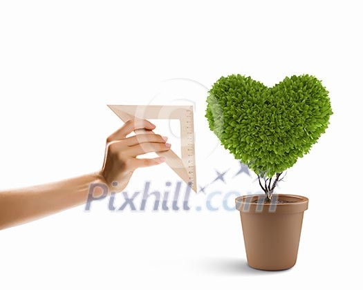 Image of plant shaped like heart. Environment concept
