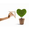 Image of plant shaped like heart. Environment concept