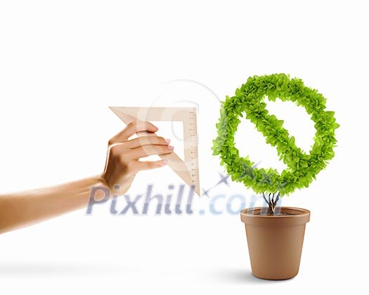 Image of plant shaped like prohibition symbol Image of plant shaped like prohibition symbol