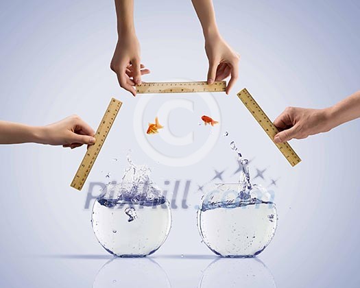 Aquarium with gold fish jumping out of water Aquarium with gold fish jumping out of water