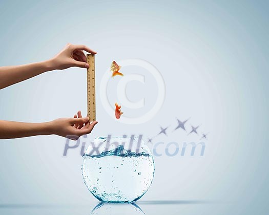 Aquarium with gold fish jumping out of water Aquarium with gold fish jumping out of water