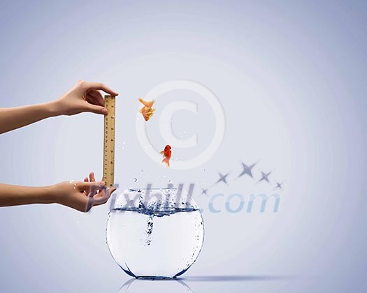 Aquarium with gold fish jumping out of water Aquarium with gold fish jumping out of water